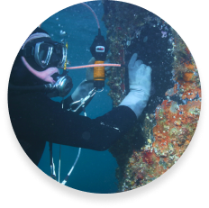 marine ship repair company